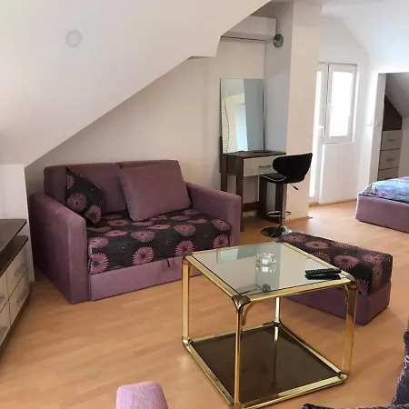 Apartment Milojic Soko Banja