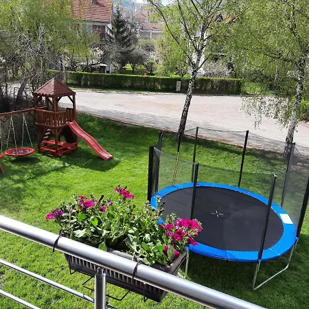 Milojic Apartment Soko Banja