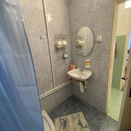 Apartment Milojic Soko Banja